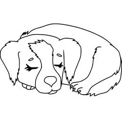 Dog (Animals) coloring page #182824 to print and color
