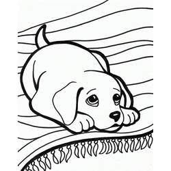 Dog (Animals) coloring page #182827 to print and color