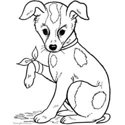 Coloring page: Dog (Animals) #27 - Printable coloring pages