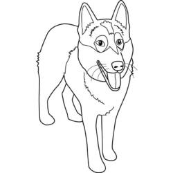 Coloring page: Dog (Animals) #3095 - Free Printable Coloring Pages