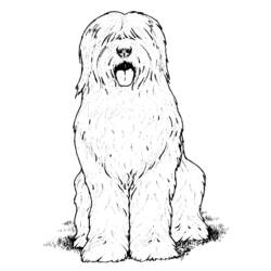 Coloring page: Dog (Animals) #3098 - Free Printable Coloring Pages