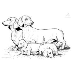 Coloring page: Dog (Animals) #3099 - Free Printable Coloring Pages