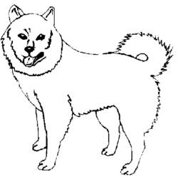 Coloring page: Dog (Animals) #3103 - Free Printable Coloring Pages
