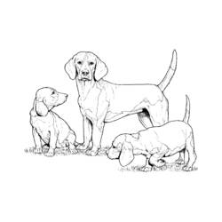 Coloring page: Dog (Animals) #3111 - Free Printable Coloring Pages