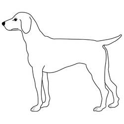 Coloring page: Dog (Animals) #3123 - Free Printable Coloring Pages