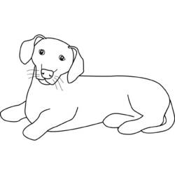 Coloring page: Dog (Animals) #3126 - Free Printable Coloring Pages