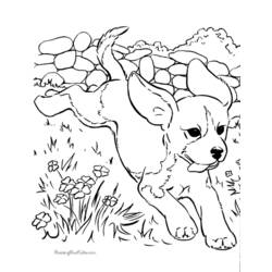 Coloring page: Dog (Animals) #3129 - Free Printable Coloring Pages