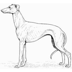 Coloring page: Dog (Animals) #3133 - Free Printable Coloring Pages
