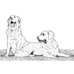 Coloring page: Dog (Animals) #3134 - Free Printable Coloring Pages