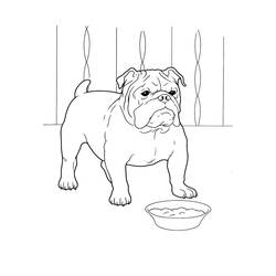 Coloring page: Dog (Animals) #3137 - Free Printable Coloring Pages