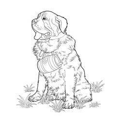 Coloring page: Dog (Animals) #3150 - Free Printable Coloring Pages
