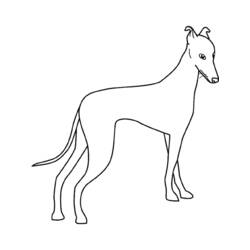 Coloring page: Dog (Animals) #3156 - Free Printable Coloring Pages