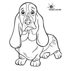 Coloring page: Dog (Animals) #3164 - Free Printable Coloring Pages