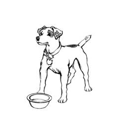 Coloring page: Dog (Animals) #3169 - Free Printable Coloring Pages