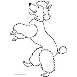 Coloring page: Dog (Animals) #3173 - Free Printable Coloring Pages