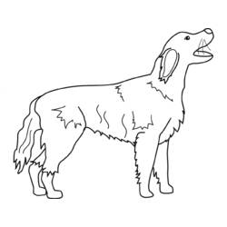 Coloring page: Dog (Animals) #3179 - Free Printable Coloring Pages