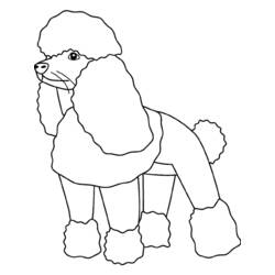 Coloring page: Dog (Animals) #3183 - Free Printable Coloring Pages
