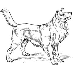 Coloring page: Dog (Animals) #3185 - Free Printable Coloring Pages