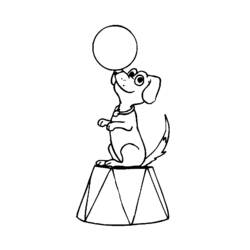 Coloring page: Dog (Animals) #3214 - Free Printable Coloring Pages