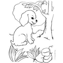 Coloring page: Dog (Animals) #39 - Free Printable Coloring Pages