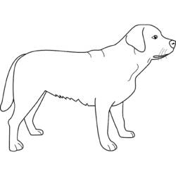 Coloring page: Dog (Animals) #43 - Free Printable Coloring Pages