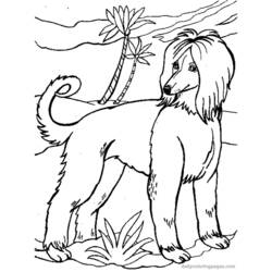 Coloring page: Dog (Animals) #50 - Free Printable Coloring Pages