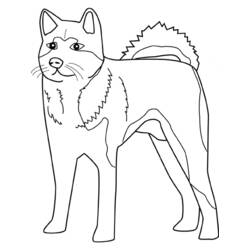 Coloring page: Dog (Animals) #62 - Free Printable Coloring Pages