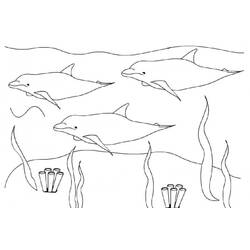 Dolphin (Animals) coloring page #182729 to print and color