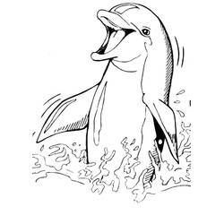 Dolphin (Animals) coloring page #217207 to print and color