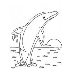 Coloring page: Dolphin (Animals) #5090 - Free Printable Coloring Pages