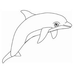Coloring page: Dolphin (Animals) #5098 - Printable coloring pages
