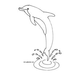 Coloring page: Dolphin (Animals) #5101 - Free Printable Coloring Pages
