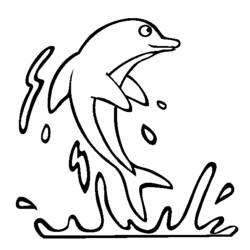 Coloring page: Dolphin (Animals) #5103 - Free Printable Coloring Pages