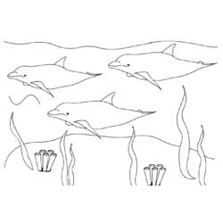 Coloring page: Dolphin (Animals) #5109 - Free Printable Coloring Pages
