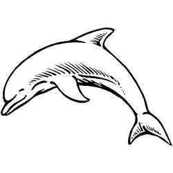 Coloring pages: Dolphin - Printable Coloring Pages