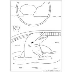Coloring page: Dolphin (Animals) #5122 - Free Printable Coloring Pages