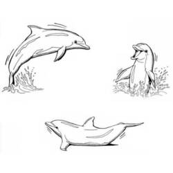 Coloring page: Dolphin (Animals) #5126 - Free Printable Coloring Pages