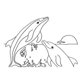 Coloring page: Dolphin (Animals) #5128 - Free Printable Coloring Pages