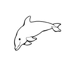 Coloring page: Dolphin (Animals) #5138 - Free Printable Coloring Pages