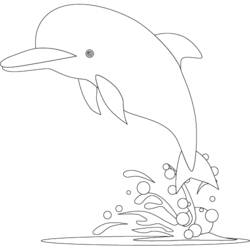 Coloring page: Dolphin (Animals) #5143 - Free Printable Coloring Pages