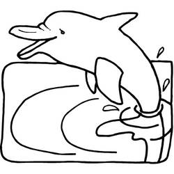 Coloring page: Dolphin (Animals) #5144 - Free Printable Coloring Pages