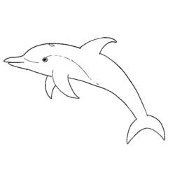 Coloring page: Dolphin (Animals) #5145 - Printable coloring pages