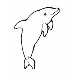 Coloring page: Dolphin (Animals) #5151 - Printable coloring pages
