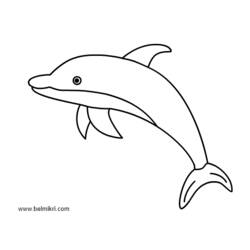 Coloring page: Dolphin (Animals) #5162 - Printable coloring pages