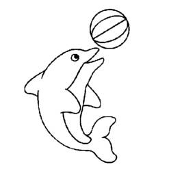 Coloring page: Dolphin (Animals) #5187 - Free Printable Coloring Pages