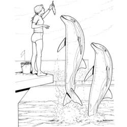 Coloring page: Dolphin (Animals) #5191 - Free Printable Coloring Pages