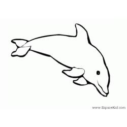 Coloring page: Dolphin (Animals) #5209 - Free Printable Coloring Pages