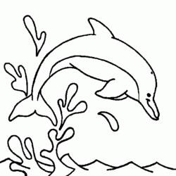 Coloring page: Dolphin (Animals) #5212 - Free Printable Coloring Pages