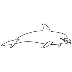 Coloring page: Dolphin (Animals) #5224 - Free Printable Coloring Pages