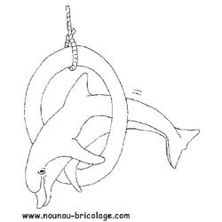 Coloring page: Dolphin (Animals) #5233 - Free Printable Coloring Pages